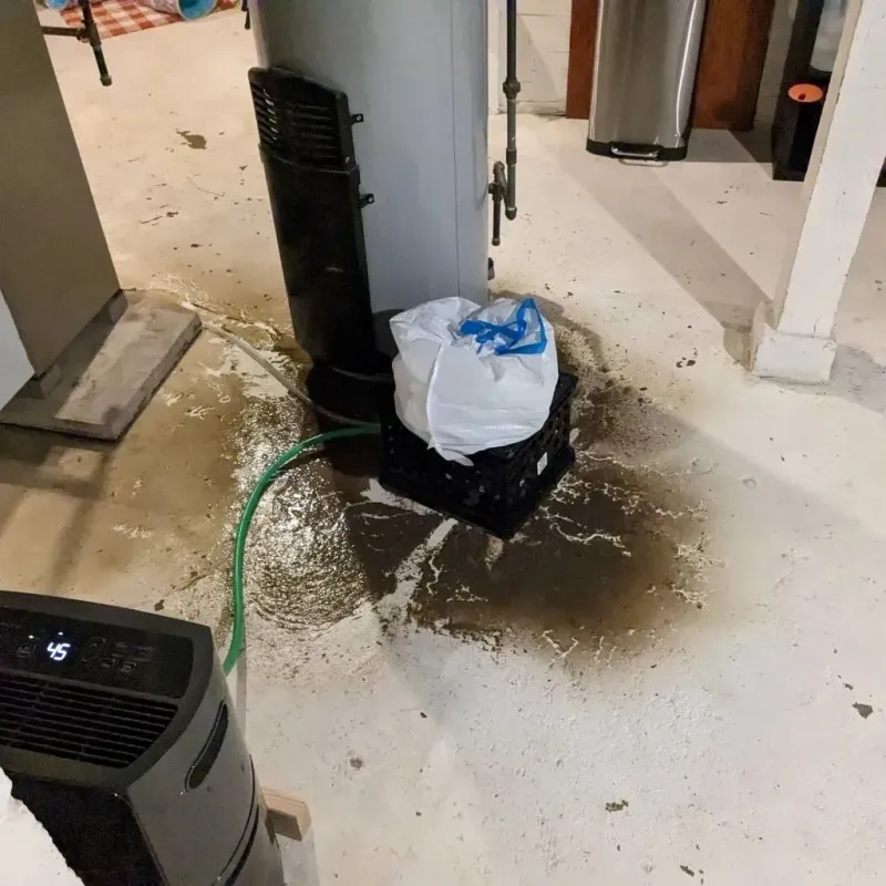 Sewage Backup Cleanup Service in Chevak, AK